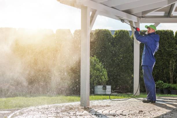 Best Soft Washing  in Eagle Point, AL